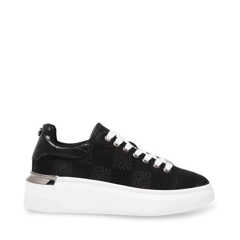 steve madden clearwater contact details